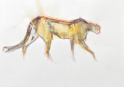 Jachtluipaard door David Mayer