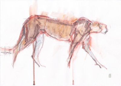 Jachtluipaard op Jacht door David Mayer