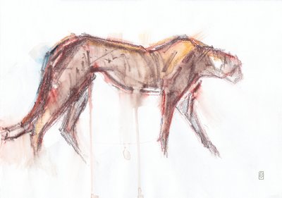 Jachtluipaard op jacht door David Mayer