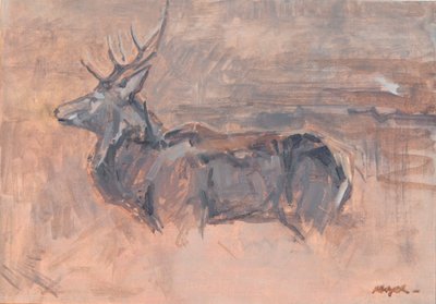 Rode Hert Stag door David Mayer