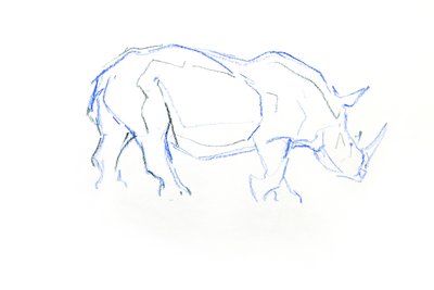 Witte neushoorn door David Mayer