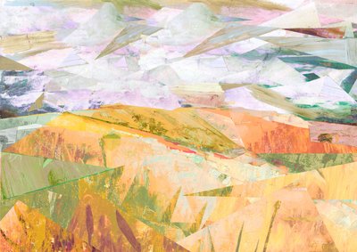 Zomer Velden, 2017 door David McConochie