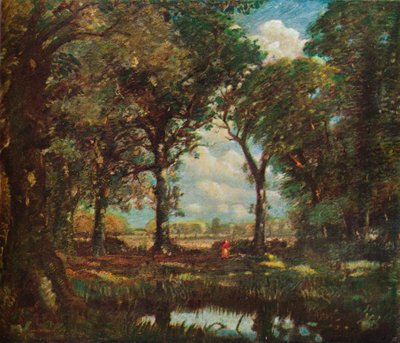 Een bosvijver, ca. 1905 door David Muirhead