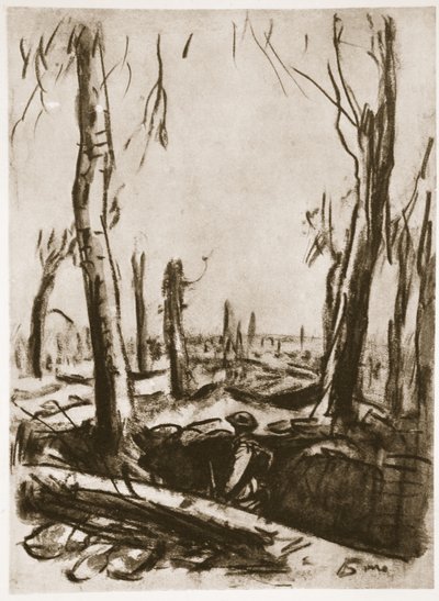 Verwoeste loopgraven in Mametz Wood, illustratie uit 