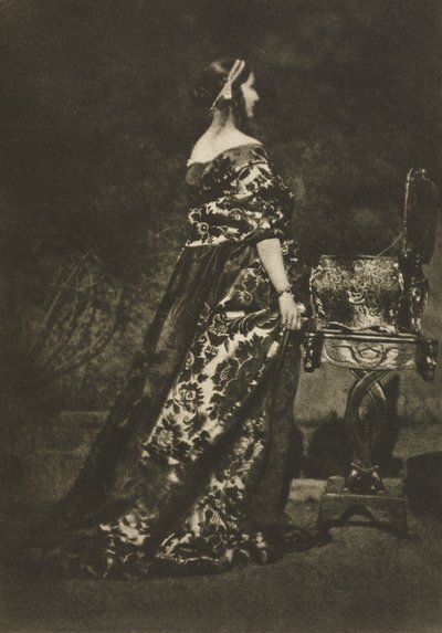 Camera Work: Portret - De Jurk en de Kist, 1909 door David Octavius Hill