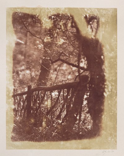 Hek en bomen in Colinton Wood door David Octavius Hill