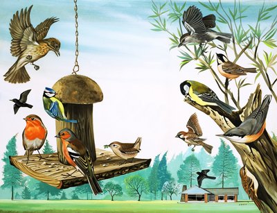 Allerlei vogels rond de tuintafel, illustratie uit 