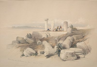 Ruïnes genaamd Om El Hamed nabij Tyrus door David Roberts