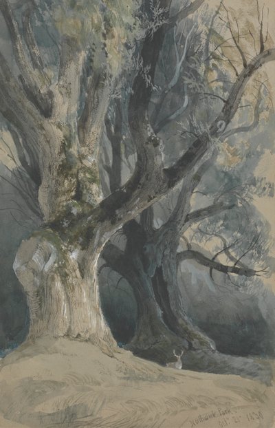 Bomen in Northwick Park door David Roberts