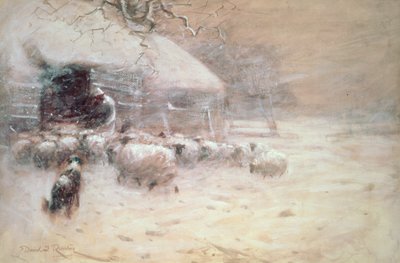 Schapen - Veilige Haven door David Robertson