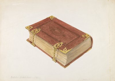 Nederlandse Bijbel door David S. De Vault