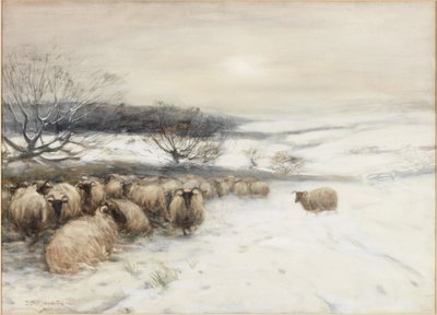 Winter door David T. Robertson
