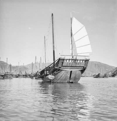 Een achterstevenzicht van de Hong Kong visser d.w. type jonk 2473HA voor anker in Hong Kong door David Watkin Waters