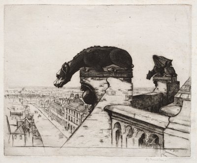 De Vleugelloze Chimera door David Young Cameron