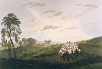 Middag, Een Uitzicht in Surrey, illustratie uit Een Verhandeling over Landschapsschilderen en Effect in Waterkleuren, 1841 door David after Cox