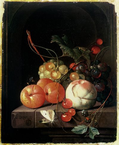 Stilleven van Fruit, 17e eeuw door David de II Heem