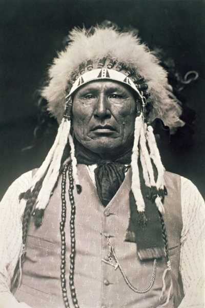 Houten Been, krijger van de Noordelijke Cheyenne die vocht in de Slag bij Little Bighorn in 1876 door DeLancey W. Gill