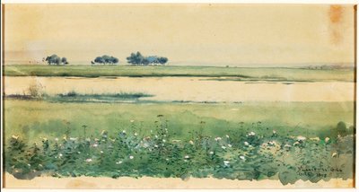 (Landschap met moerassen) door De Lancey Gill