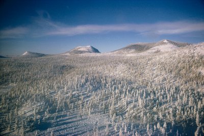 Siberië in winterlandschap over moeras en bossen bedekt met sneeuw door Dean Conger