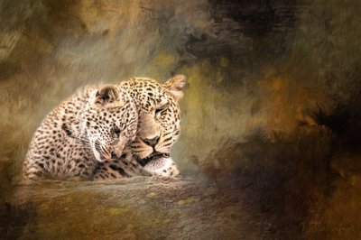 De tederheid van de luipaardfamilie door Debbie Lefever