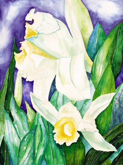 Nachtorchideeën, 2007 (aquarel) door Deborah Eve Alastra