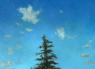 Lone Pine, 2002 door Deborah Stevenson