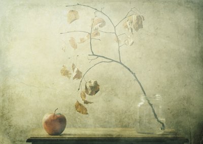  door Delphine Devos