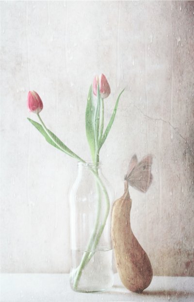  door Delphine Devos