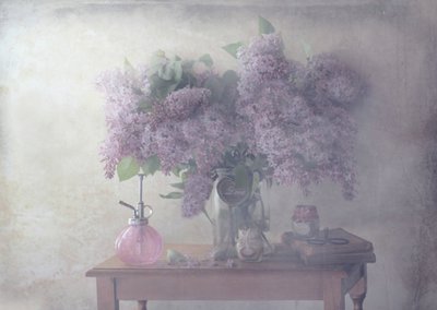  door Delphine Devos