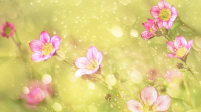  door Delphine Devos