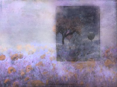  door Delphine Devos