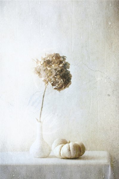  door Delphine Devos