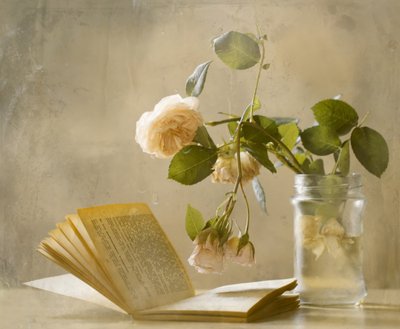 Verbleekte rozen – Open boek door Delphine Devos