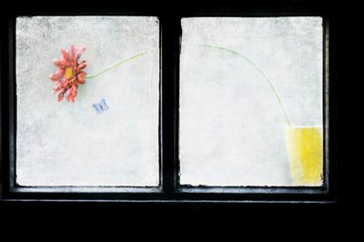  door Delphine Devos