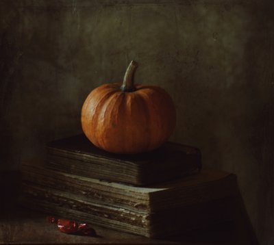  door Delphine Devos