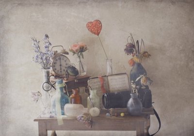  door Delphine Devos