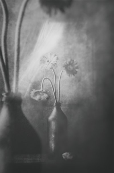  door Delphine Devos