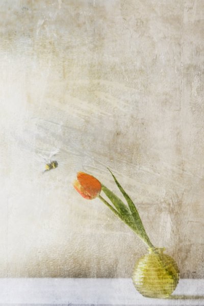  door Delphine Devos