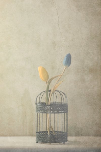  door Delphine Devos