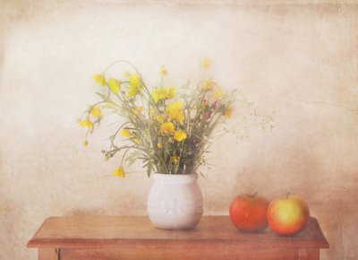  door Delphine Devos