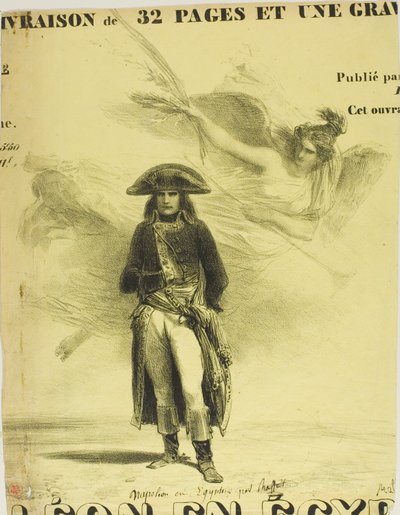Napoleon in Egypt door Denis Auguste Marie Raffet