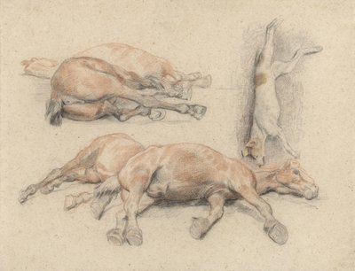 Studies van een paardenkadaver en een dode opgehangen hond door Denis Auguste Marie Raffet