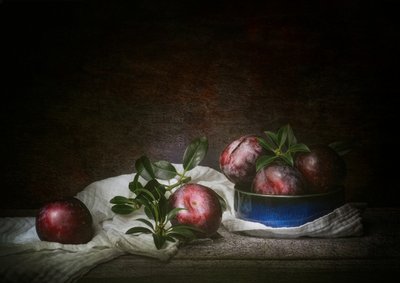 Stilleven met sombere pruimen door Denis O Reilly