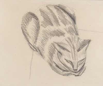Slapende Kat door Denton Welch