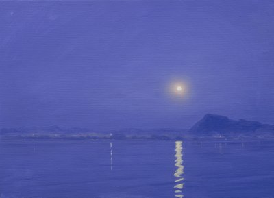 Maanlicht boven Udaipur door Derek Hare