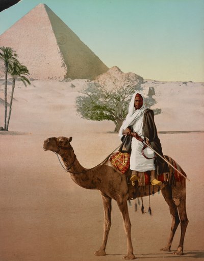 Bedoeïen op een kameel en de Grote Piramide, Caïro, Egypte door Detroit Photographic Co.