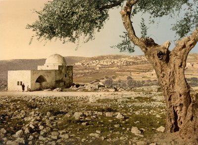Graf van Rachel, Jeruzalem, Heilig Land door Detroit Photographic Co.