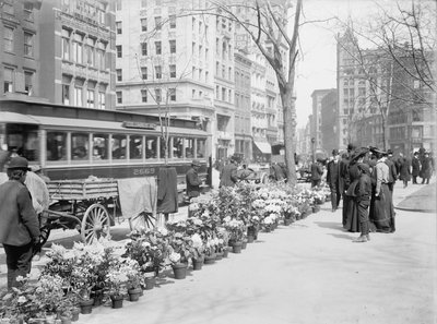Bloemenverkopers, Paasdisplay, New York City, VS, ca. 1904 door Detroit Publishing Co.