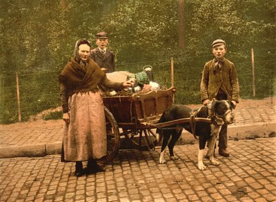 Melkverkopers, Brussel, België, ca. 1900 door Detroit Publishing Co.