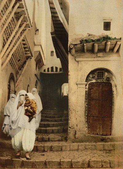 Straat van de kamelen, Algiers, ca. 1899 (fotochrom) door Detroit Publishing Co.